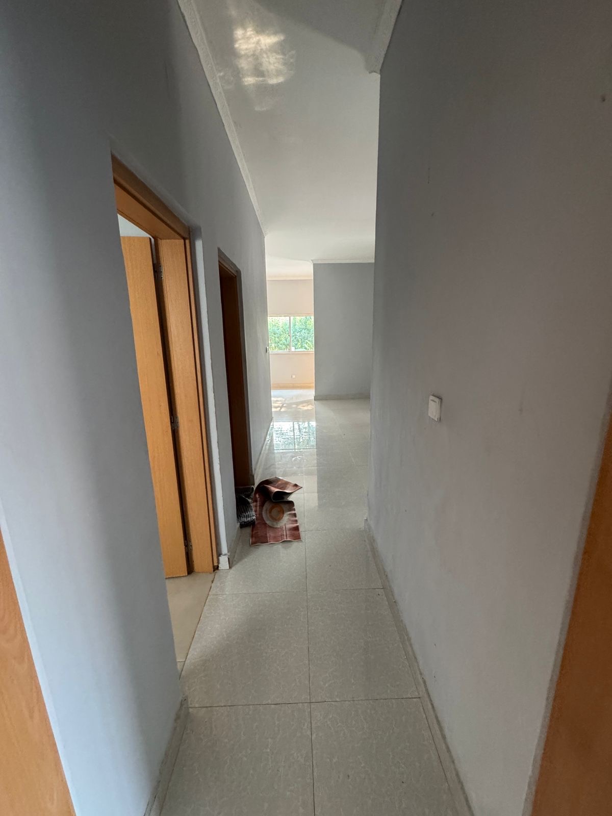 Mídia 5